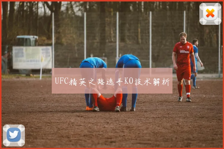 UFC精英之路选手KO技术解析