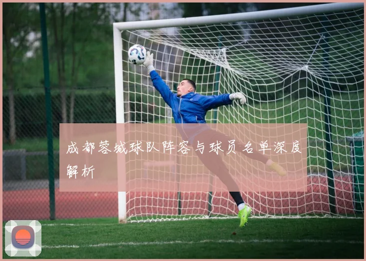 成都蓉城球队阵容与球员名单深度解析