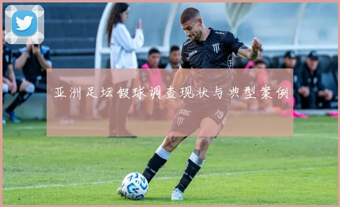 亚洲足坛假球调查现状与典型案例