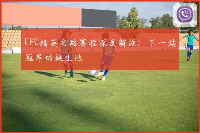 UFC精英之路赛程深度解读:下一站冠军的诞生地