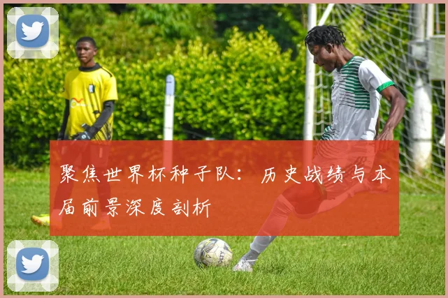 聚焦世界杯种子队：历史战绩与本届前景深度剖析