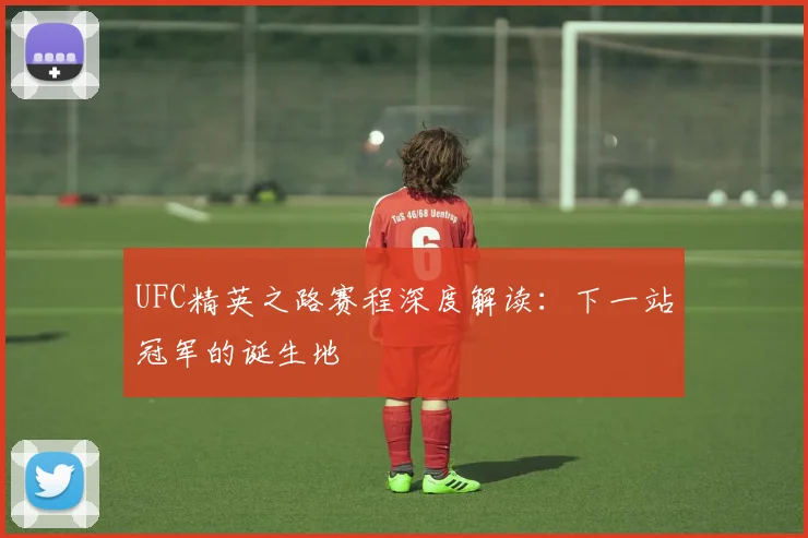 UFC精英之路赛程深度解读:下一站冠军的诞生地