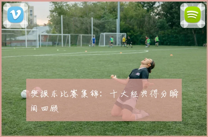 樊振东比赛集锦：十大经典得分瞬间回顾