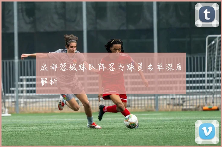 成都蓉城球队阵容与球员名单深度解析