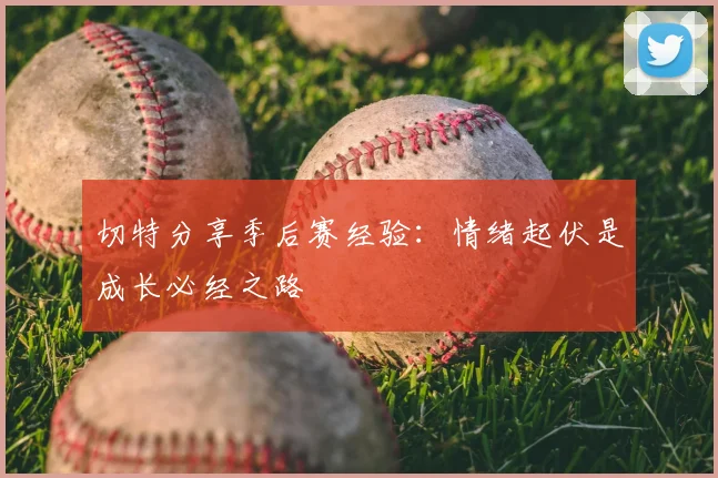切特分享季后赛经验:情绪起伏是成长必经之路