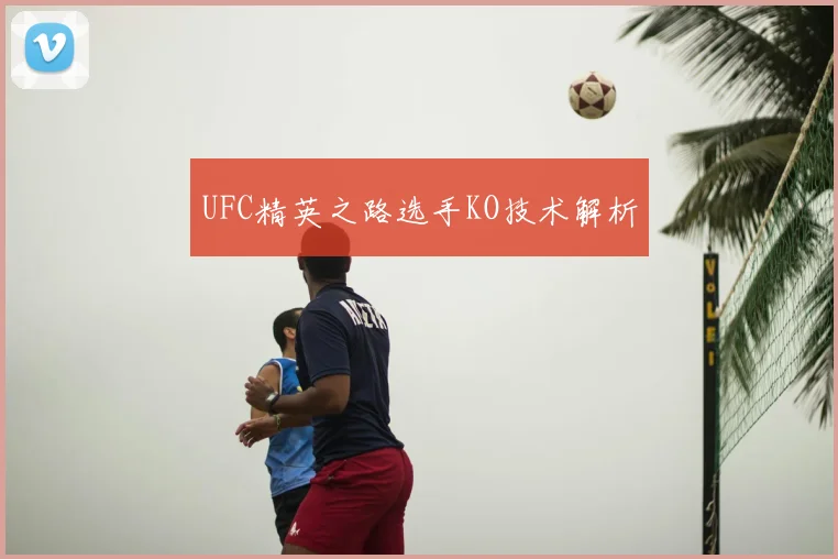 UFC精英之路选手KO技术解析